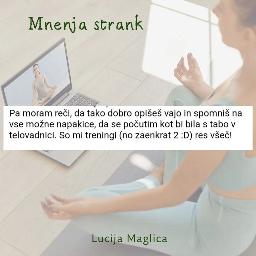 Online vadbe
